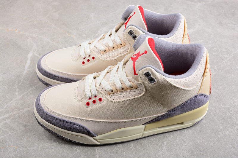 Air Jordan 3 Retro SE