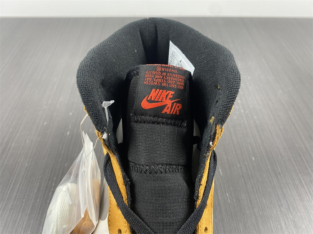 Air Jordan 1 High Element Gore-Tex Light Curry DB2889-700