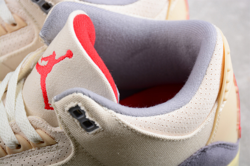Air Jordan 3 Retro SE