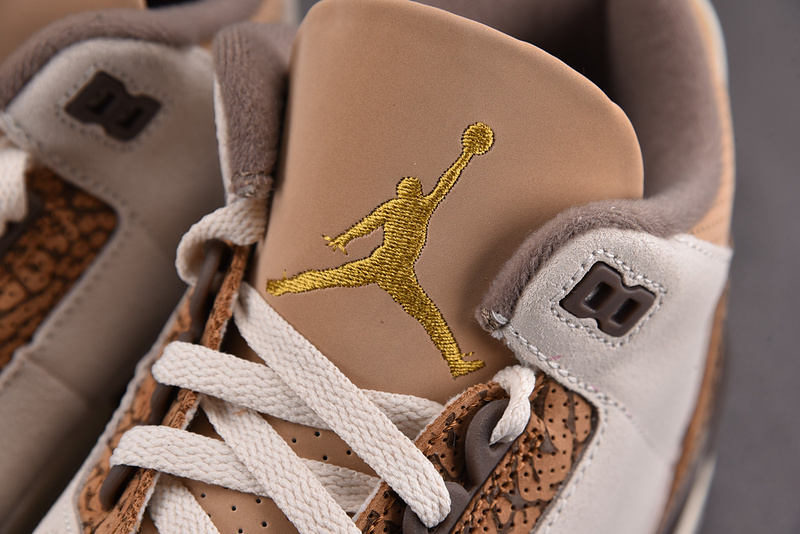 Air Jordan 3 "Palamino" CT8532-102
