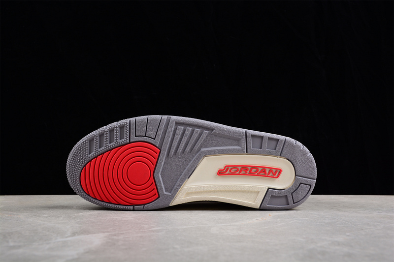Air Jordan 3 Retro SE