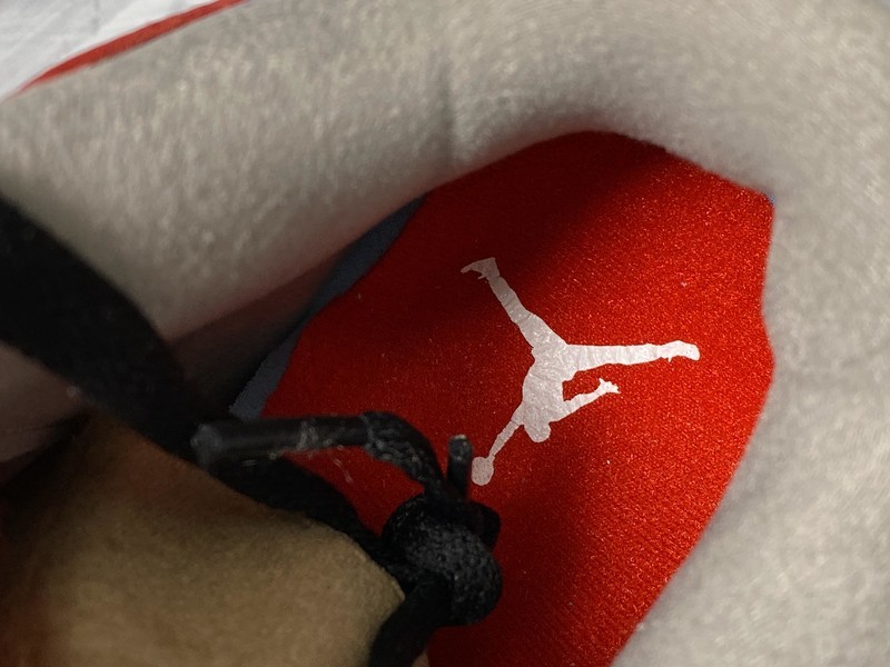 Air Jordan 3 Retro SE