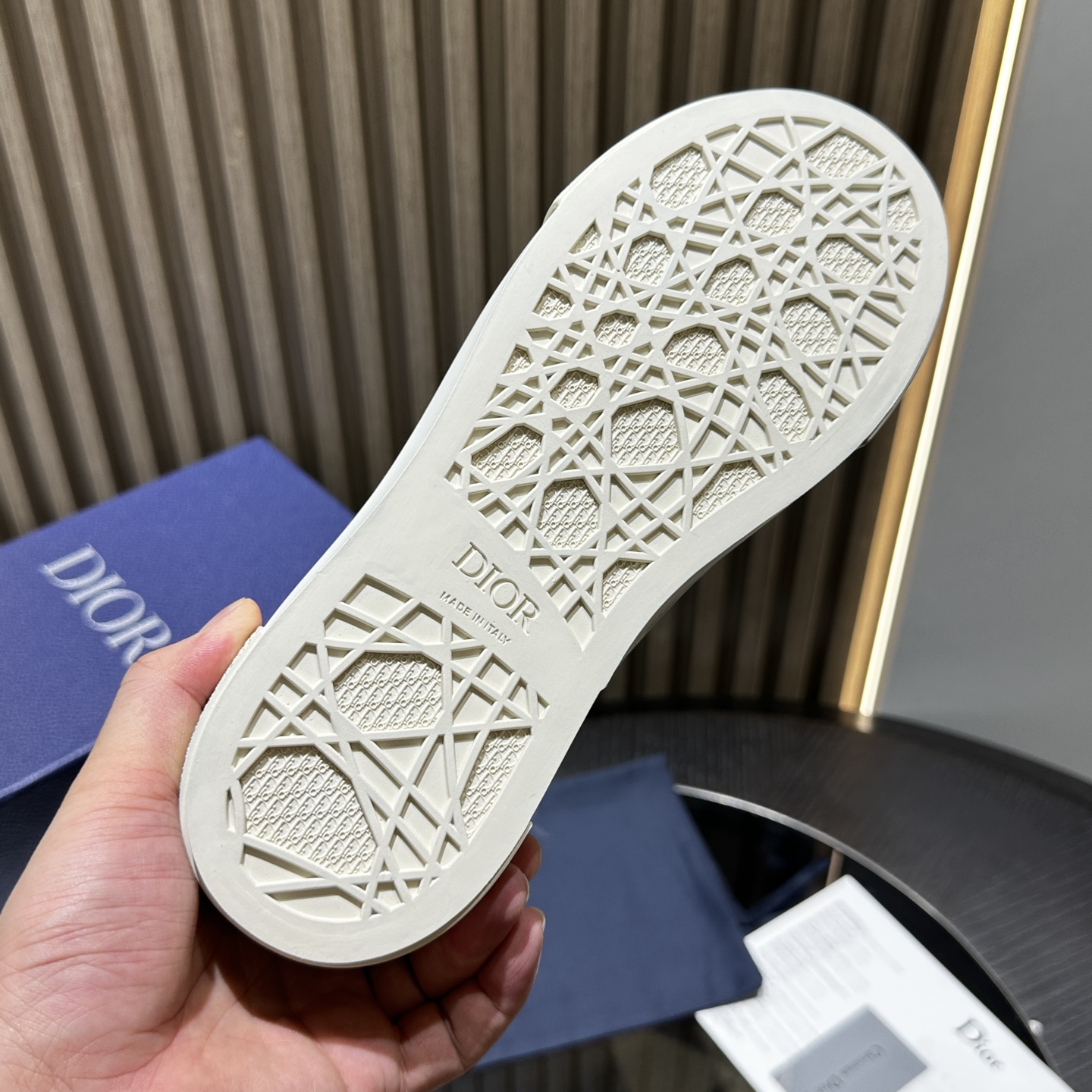 DIOR B33 SNEAKER