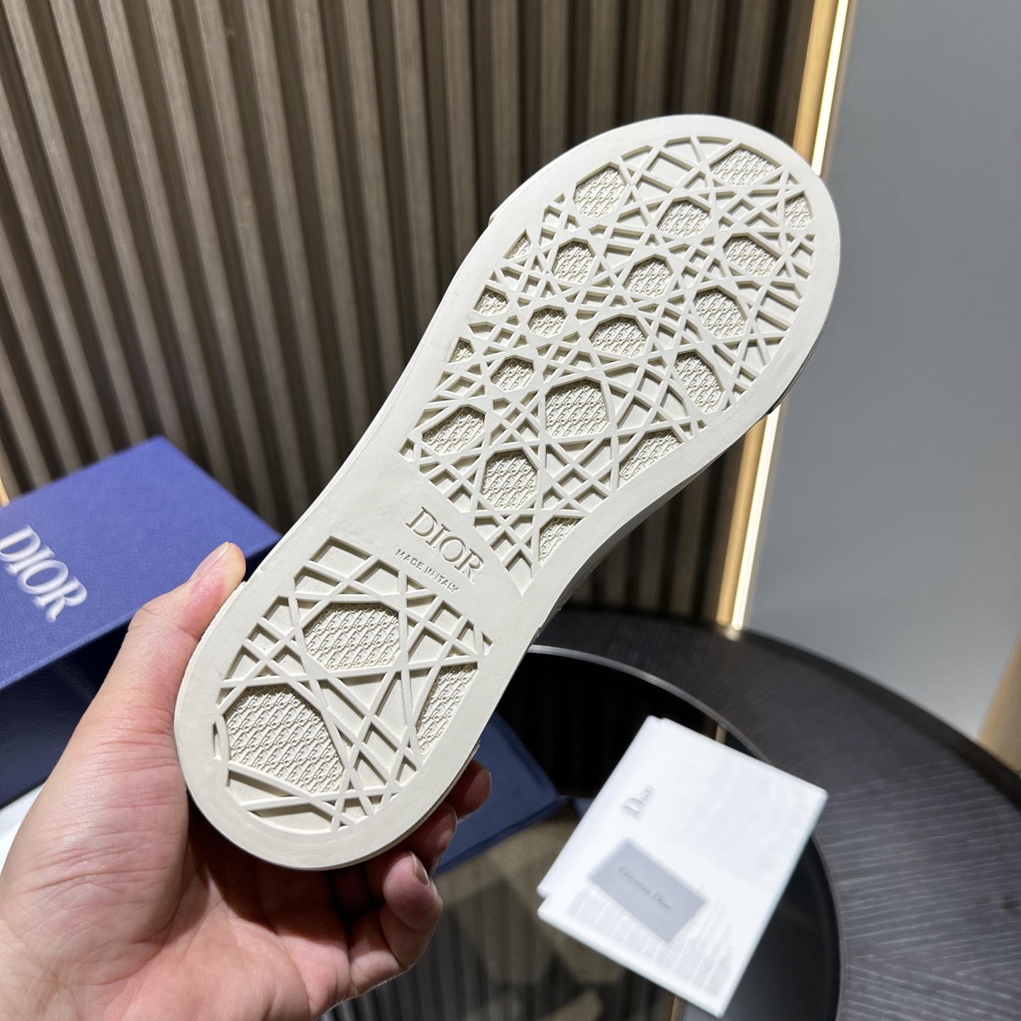 DIOR B33 SNEAKER