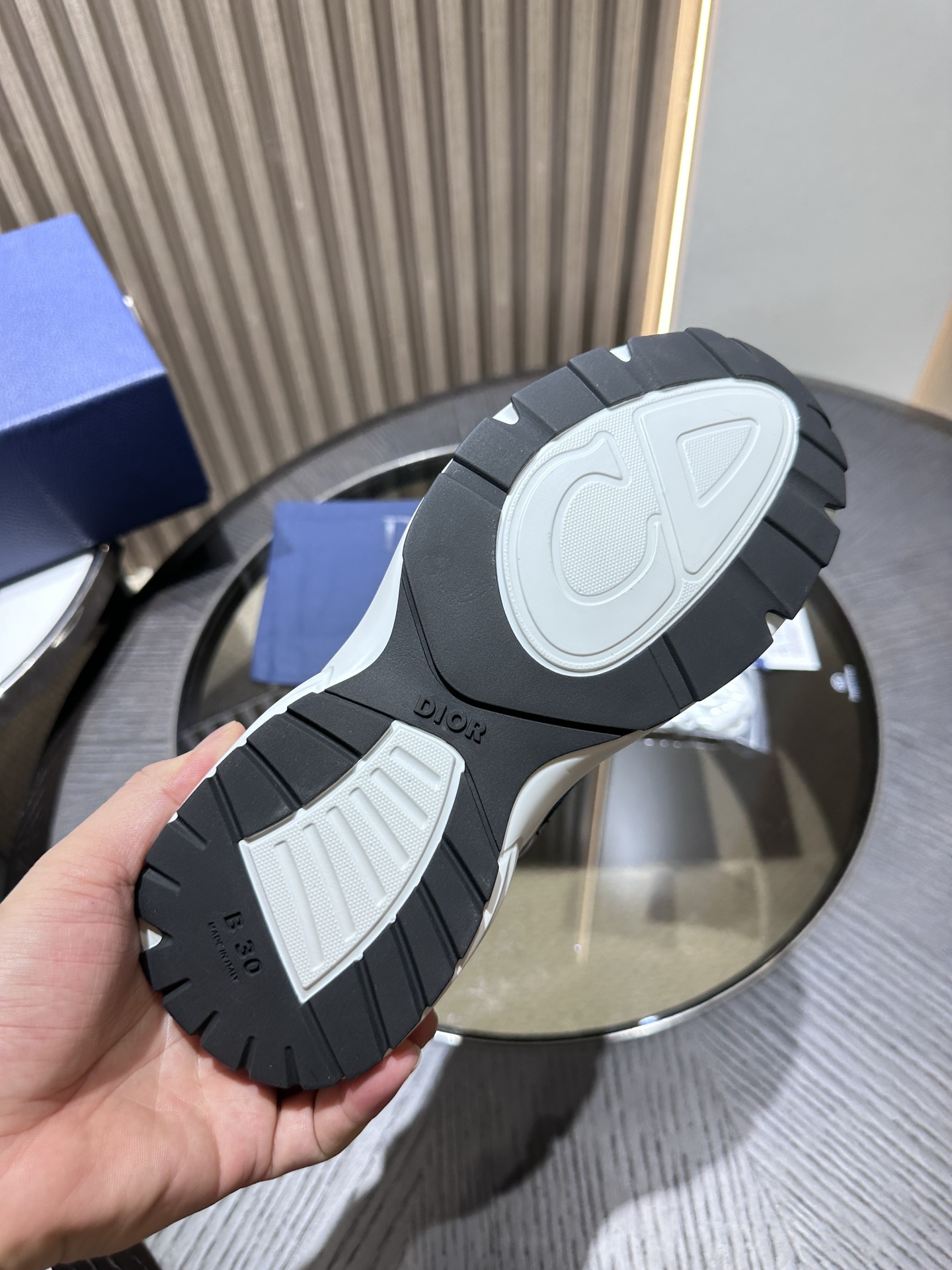 DIOR B30 SNEAKER