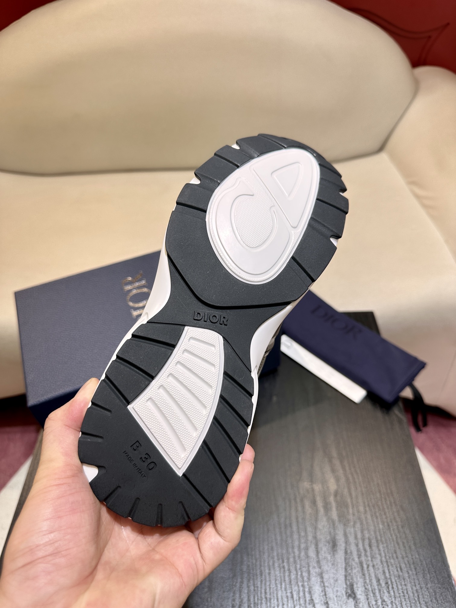DIOR B30 SNEAKER
