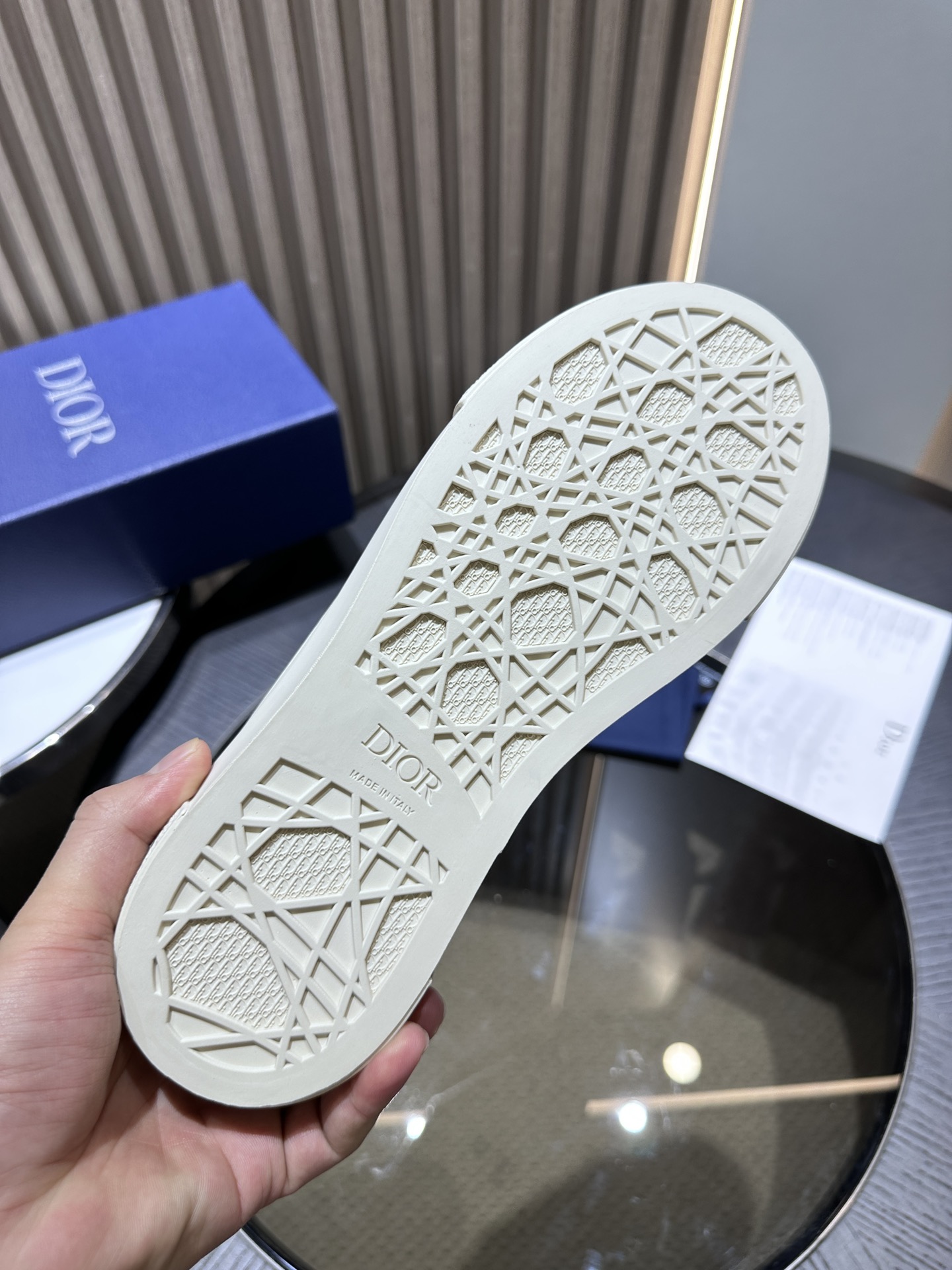 DIOR B33 SNEAKER