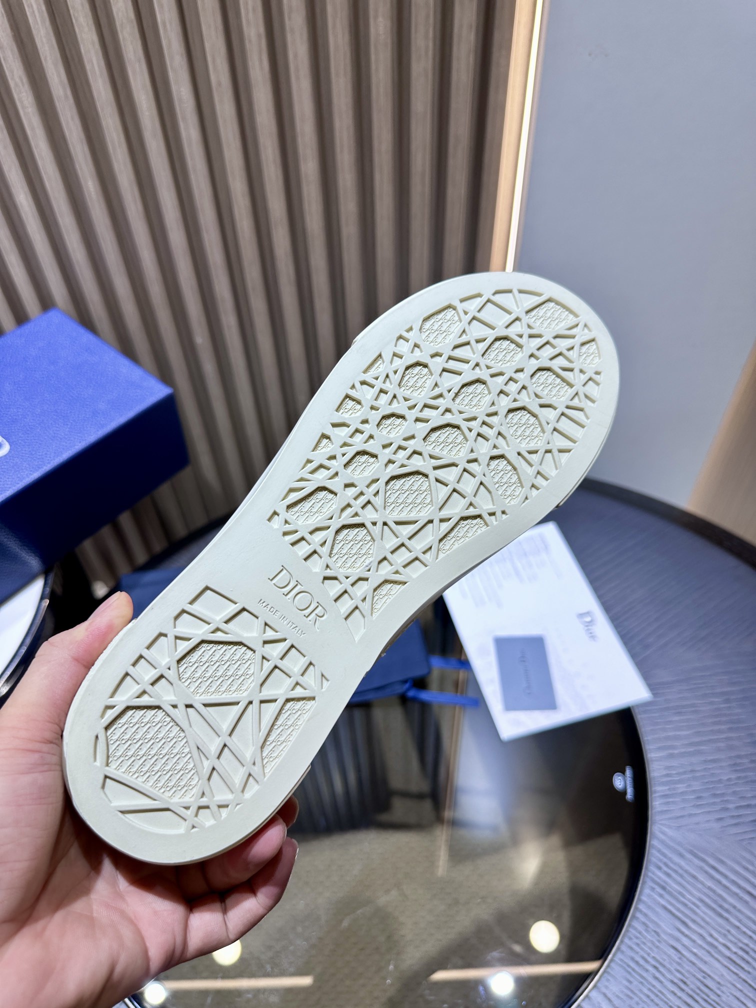 DIOR B33 SNEAKER