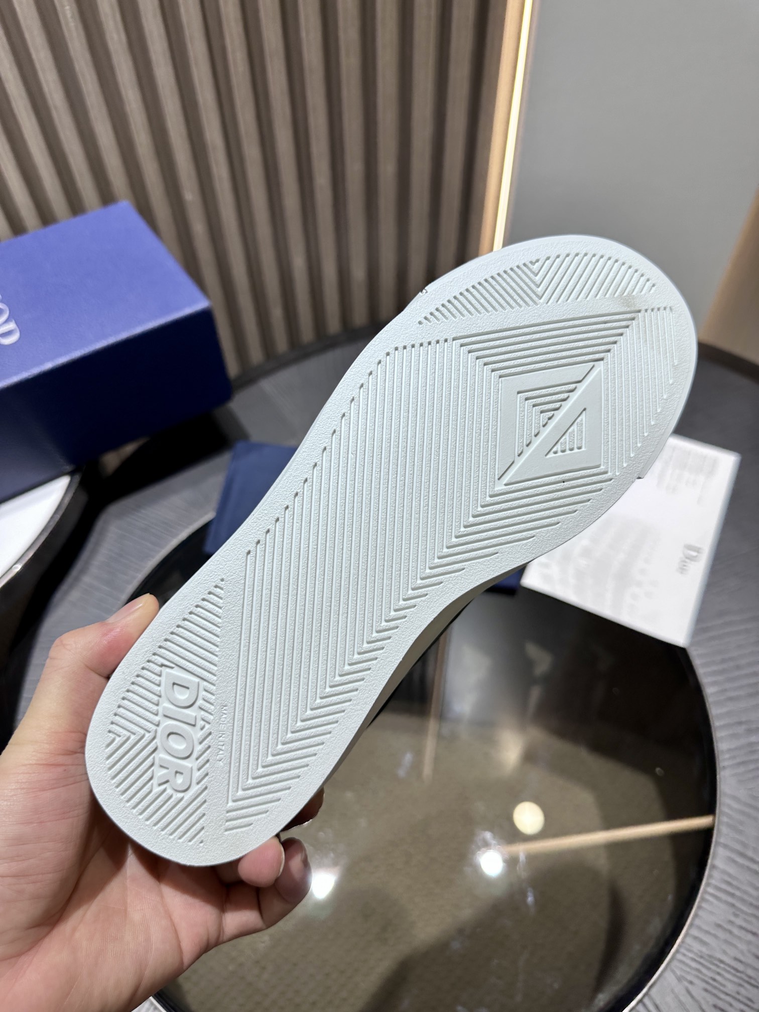 DIOR B101 SNEAKER
